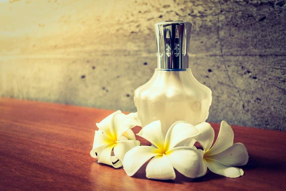 perfume de mujer que mejor huele