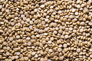 Alimentos para perros con minerales esenciales