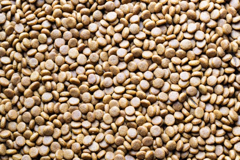 Alimentos para perros con minerales esenciales