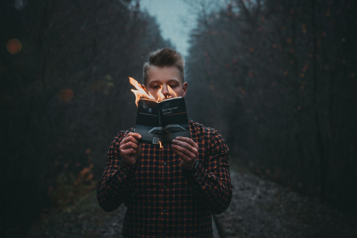 Libro de suspense en bosque misterioso